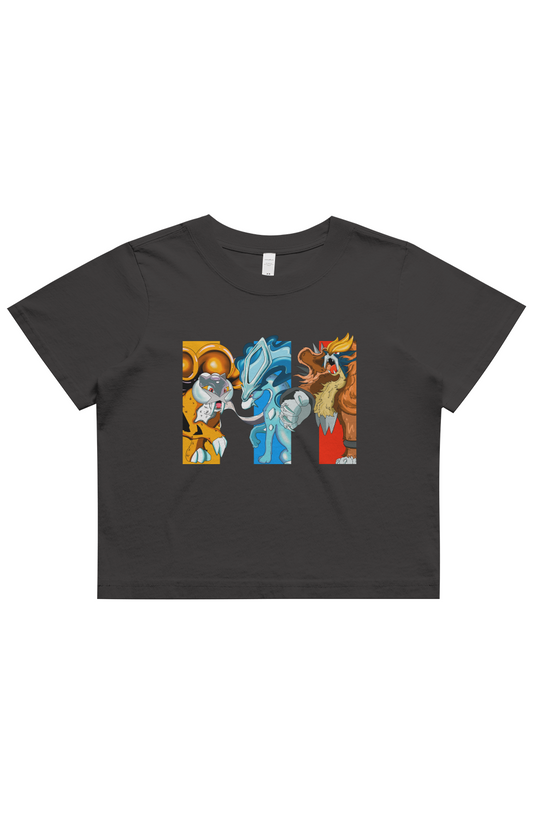 Women’s Heavy Faded Cropped Tee